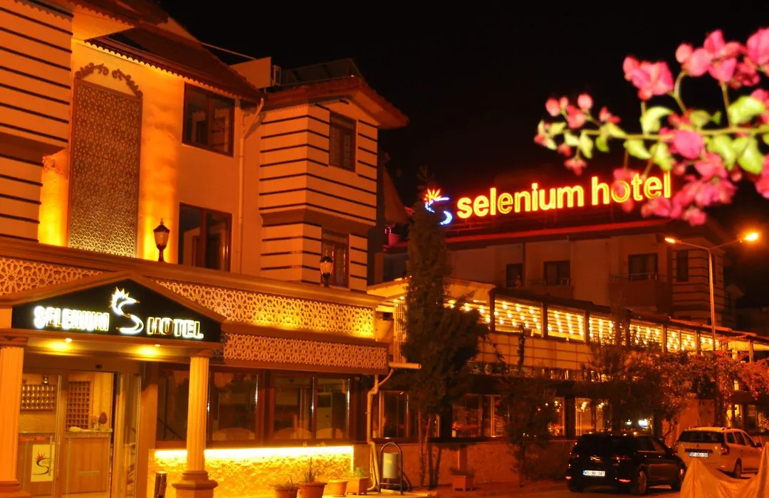 Selenium Hotel-1